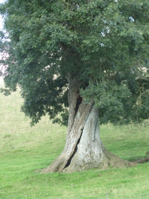The perfect hiding place - it's not in there though.