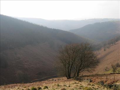 CC20 - Mynydd y lan