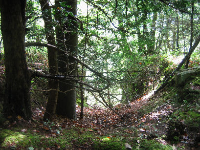 The camera loses the perspective of the slope